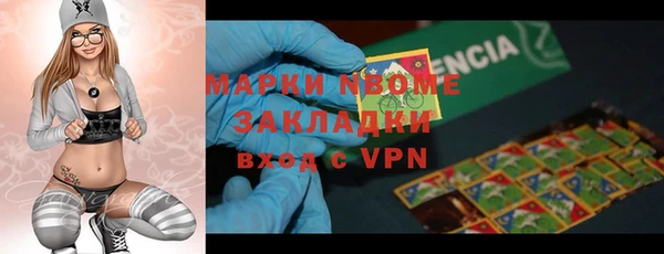 твердый Алзамай