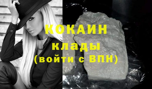 твердый Алзамай