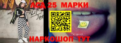 индика Можга