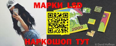 индика Можга