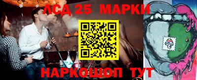 индика Можга
