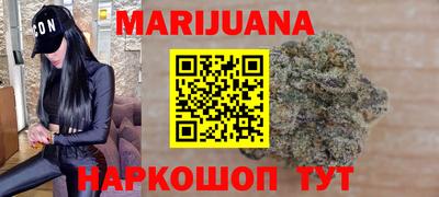 индика Можга