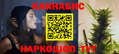 индика Можга