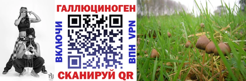 omg онион  Рубцовск  Псилоцибиновые грибы прущие грибы 