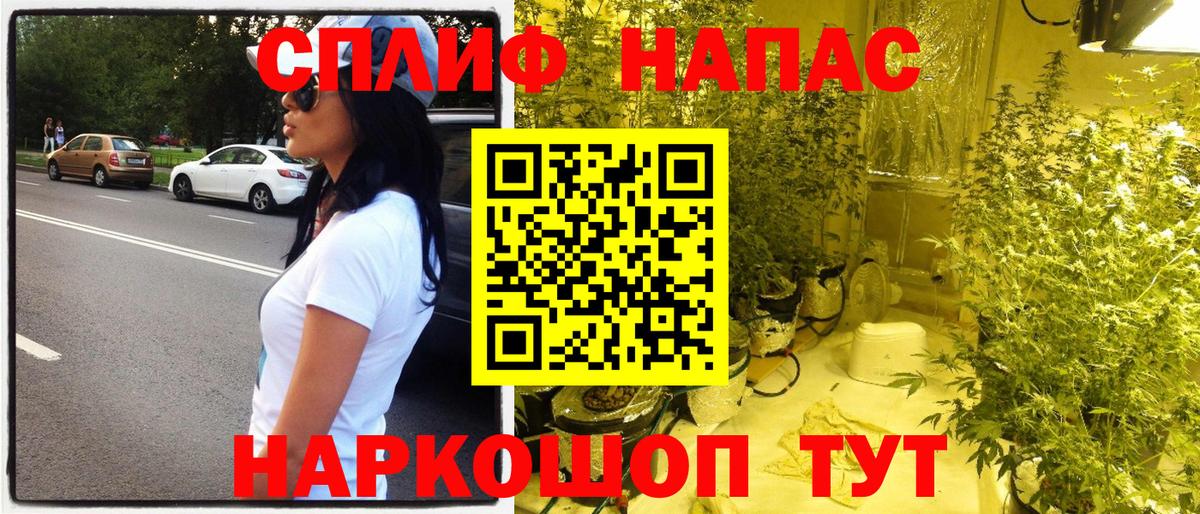 Бошки Шишки гибрид  Каннабис Amnesia  Каннабис сатива  Вход с VPN  Рубцовск 